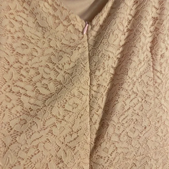 Light pink lace dress - Picture 3 of 9